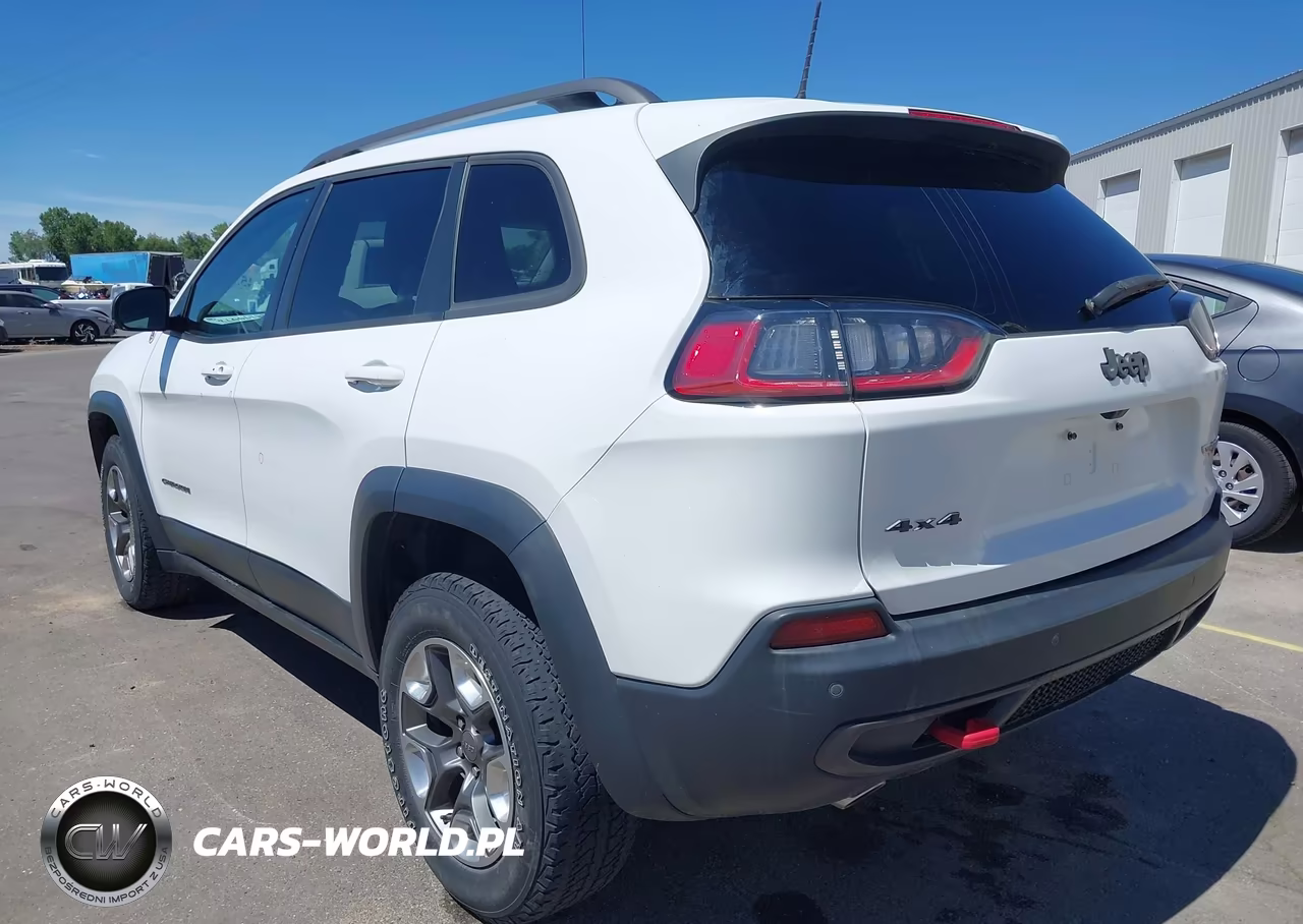 2019 Jeep Cherokee Trailhawk 4X4 VIN:1C4PJMBX4KD185520 - 3