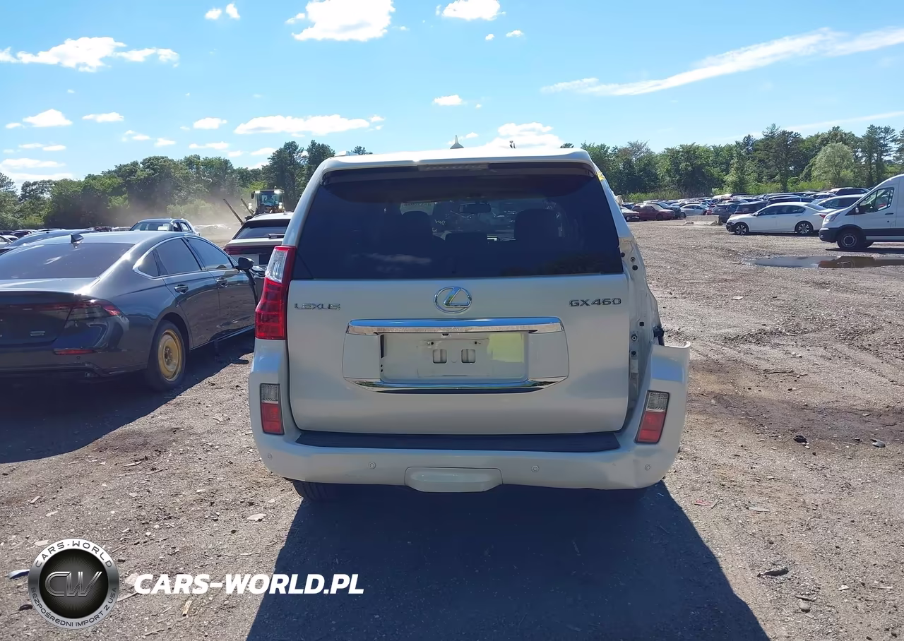 2010 Lexus Gx 460 VIN:JTJBM7FX1A5011875 - 16