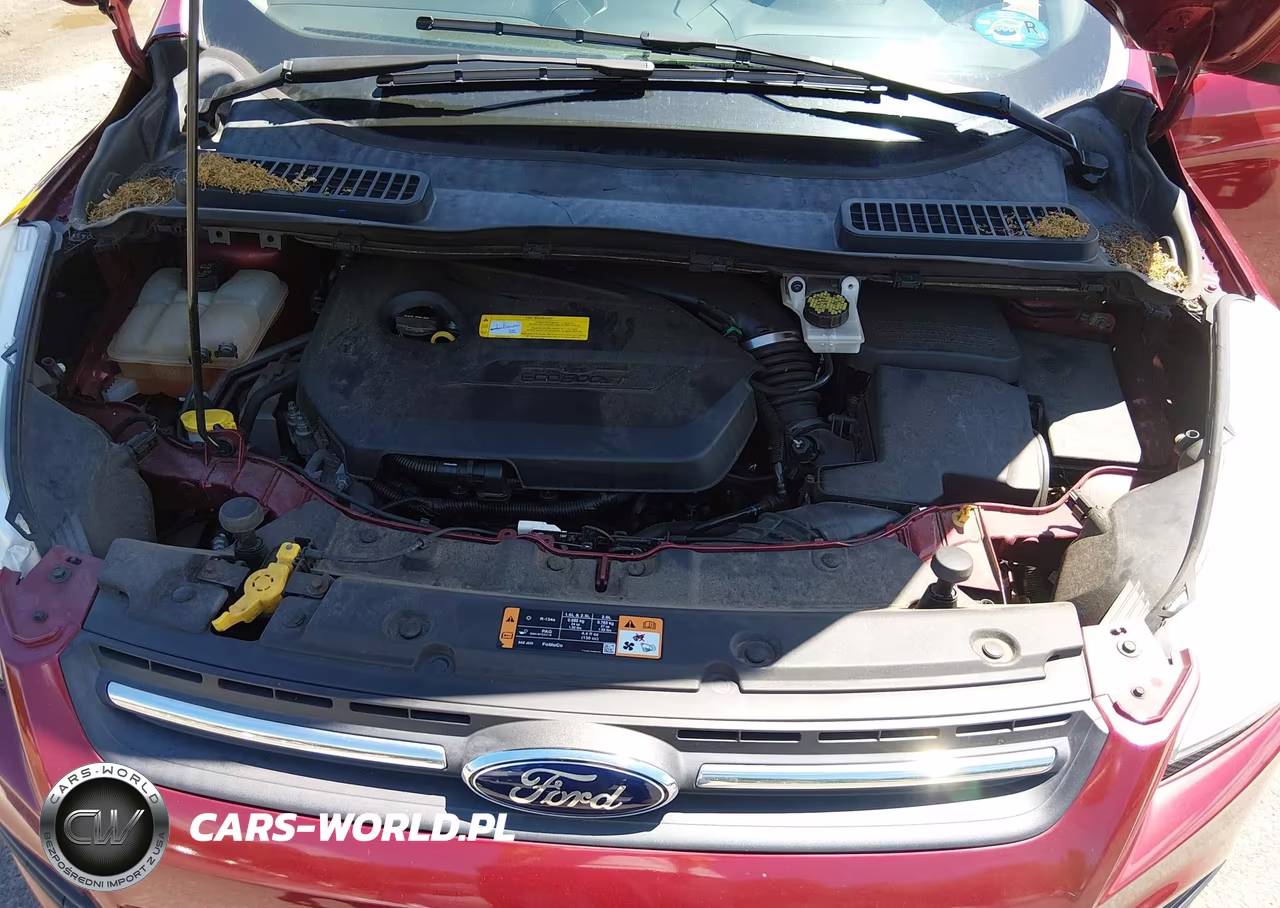 2015 Ford Escape Se VIN:1FMCU9GX1FUA96808 - 10