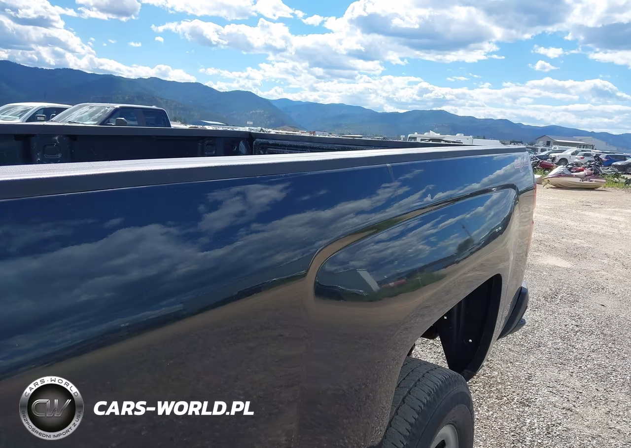 2017 Chevrolet Silverado 3500Hd Wt VIN:1GC4KYCG2HF186281 - 12