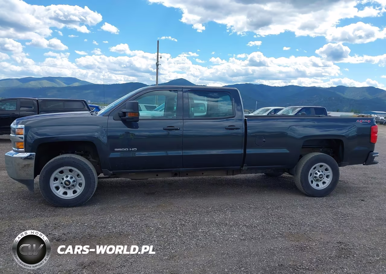 2017 Chevrolet Silverado 3500Hd Wt VIN:1GC4KYCG2HF186281 - 17