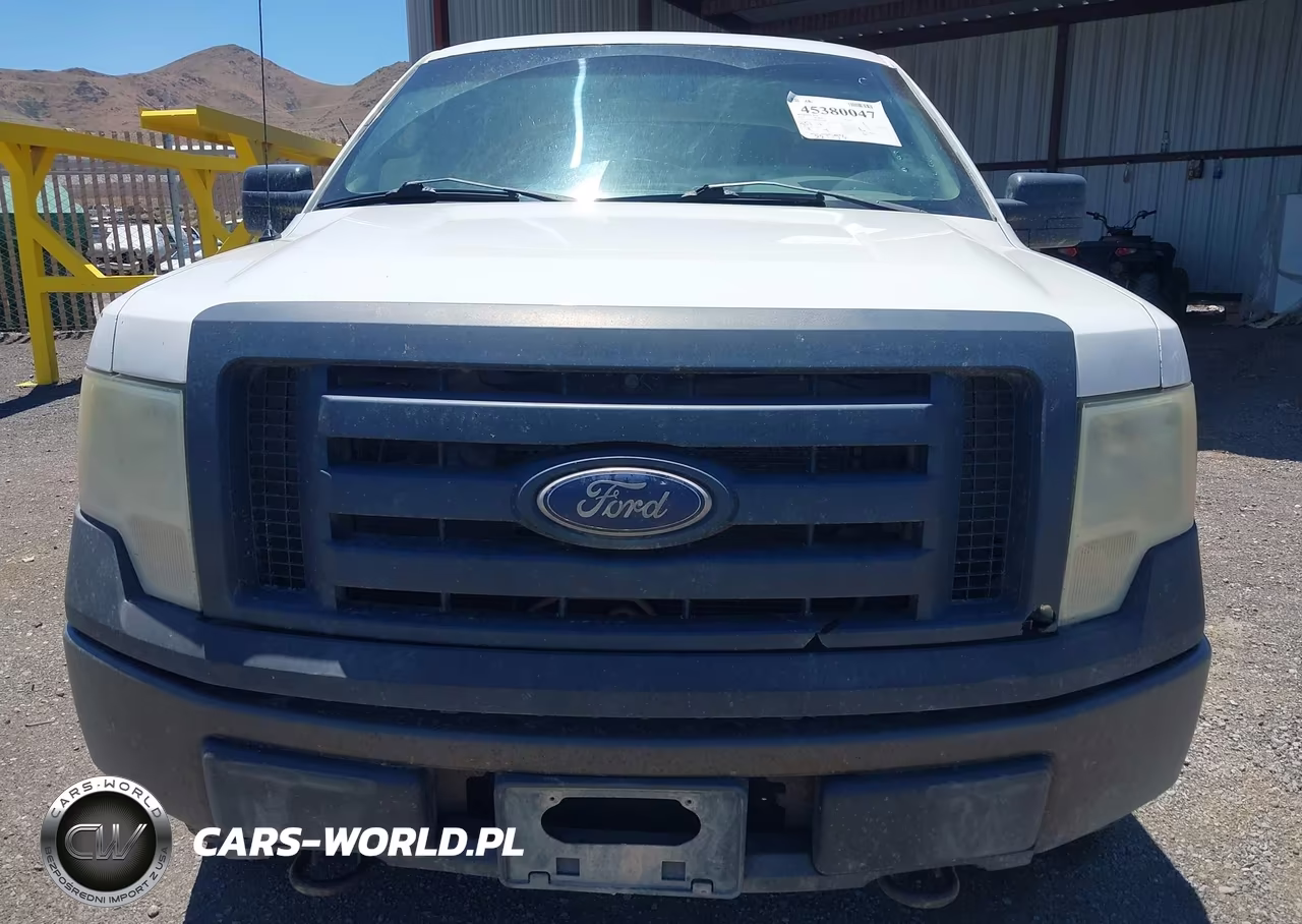 2010 Ford F-150 Xl-Xlt VIN:1FTEW1E89AFA06046 - 12