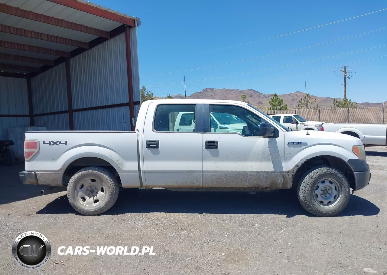 2010 Ford F-150 Xl-Xlt VIN:1FTEW1E89AFA06046 - 13