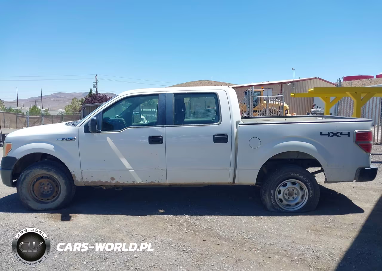 2010 Ford F-150 Xl-Xlt VIN:1FTEW1E89AFA06046 - 14
