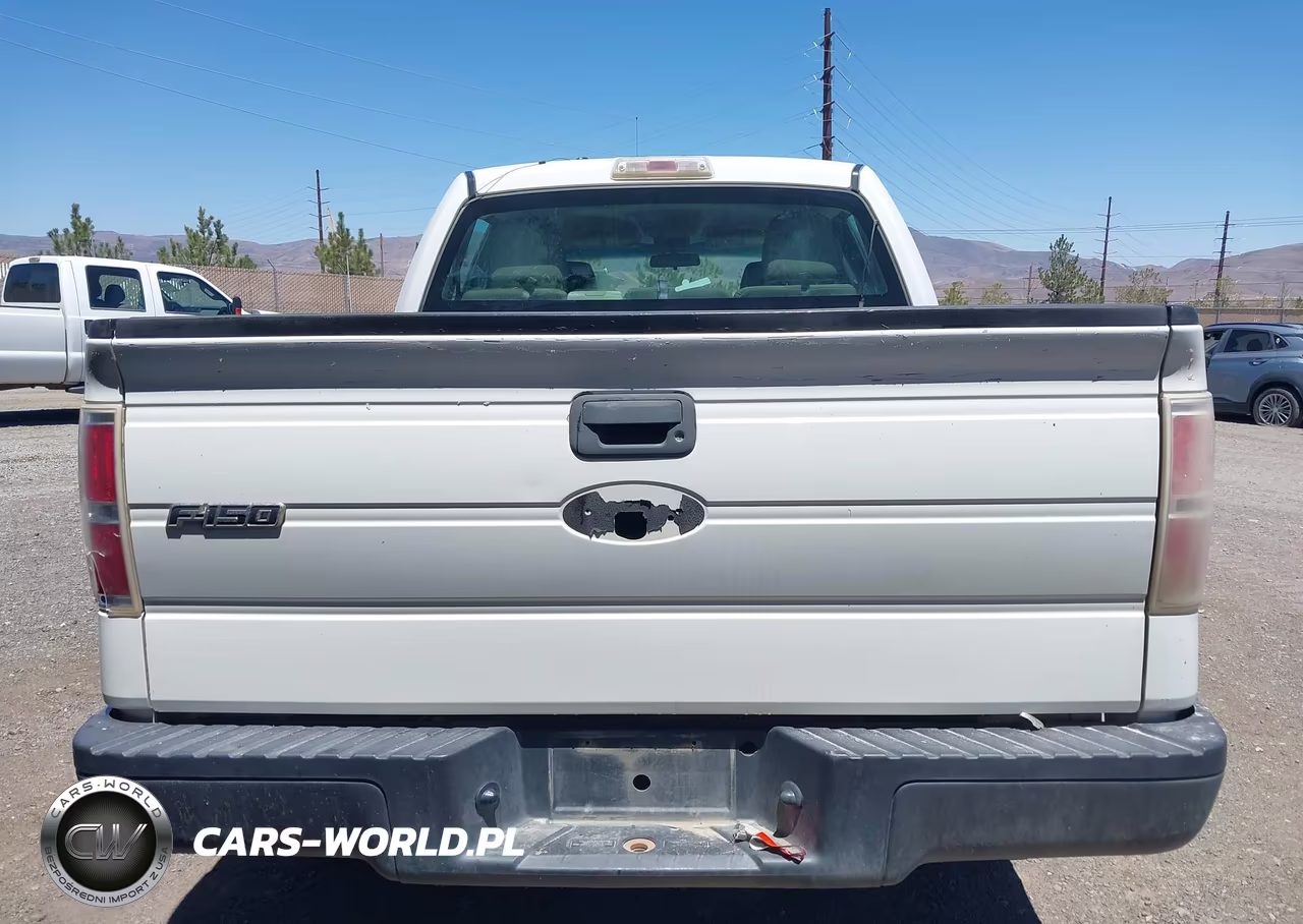 2010 Ford F-150 Xl-Xlt VIN:1FTEW1E89AFA06046 - 16