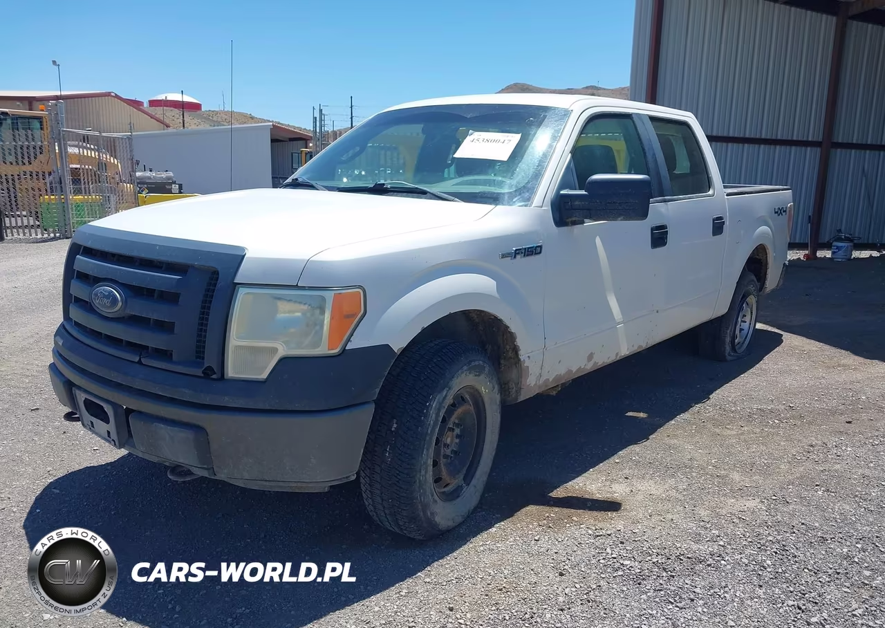 2010 Ford F-150 Xl-Xlt VIN:1FTEW1E89AFA06046 - 2
