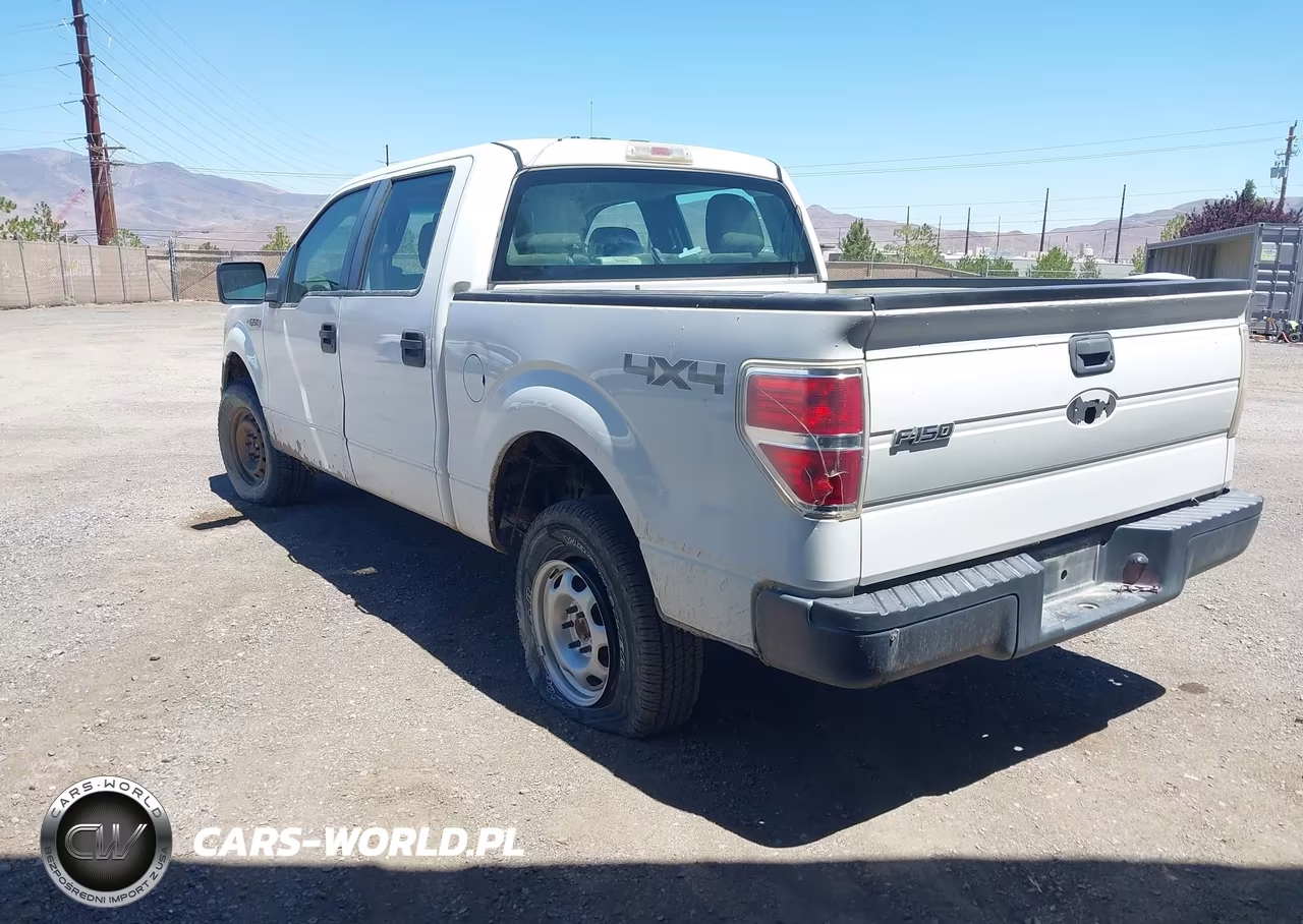 2010 Ford F-150 Xl-Xlt VIN:1FTEW1E89AFA06046 - 3