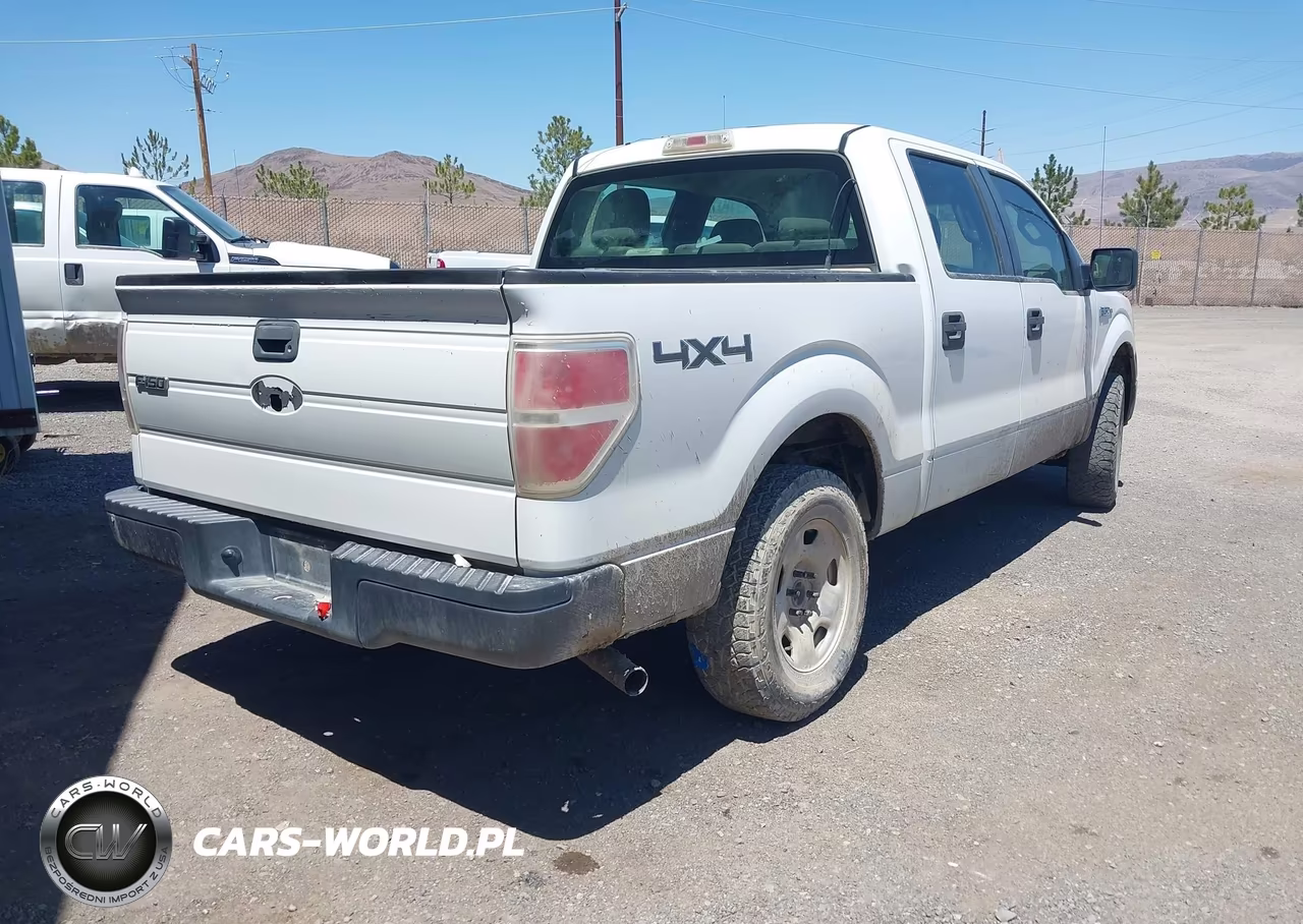 2010 Ford F-150 Xl-Xlt VIN:1FTEW1E89AFA06046 - 4