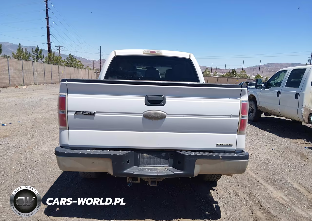 2011 Ford F-150 Xlt VIN:1FTFW1EFXBFB78512 - 16