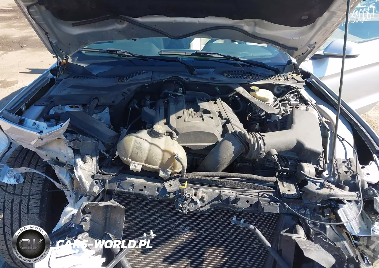 2016 Ford Mustang Ecoboost Premium VIN:1FATP8UH1G5296382 - 10