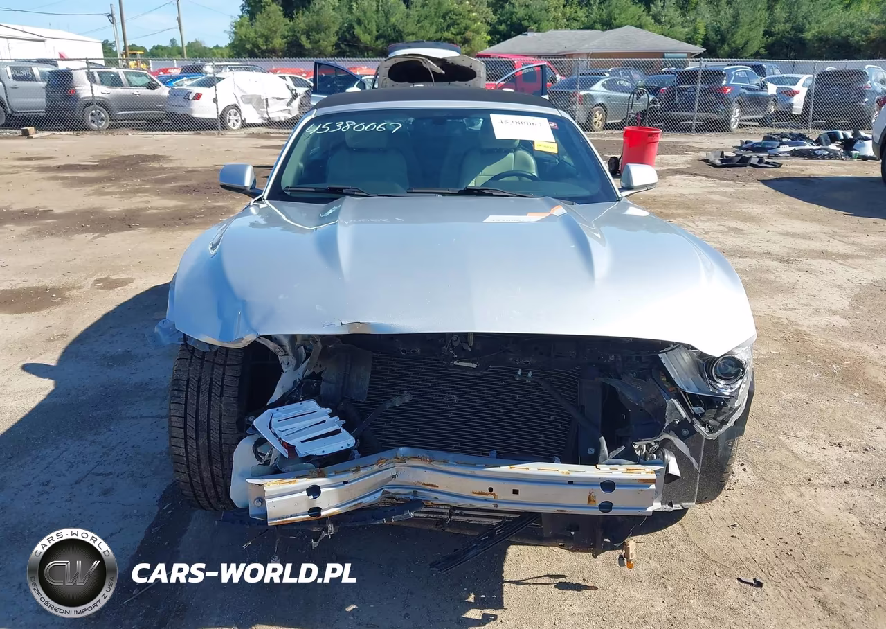 2016 Ford Mustang Ecoboost Premium VIN:1FATP8UH1G5296382 - 13