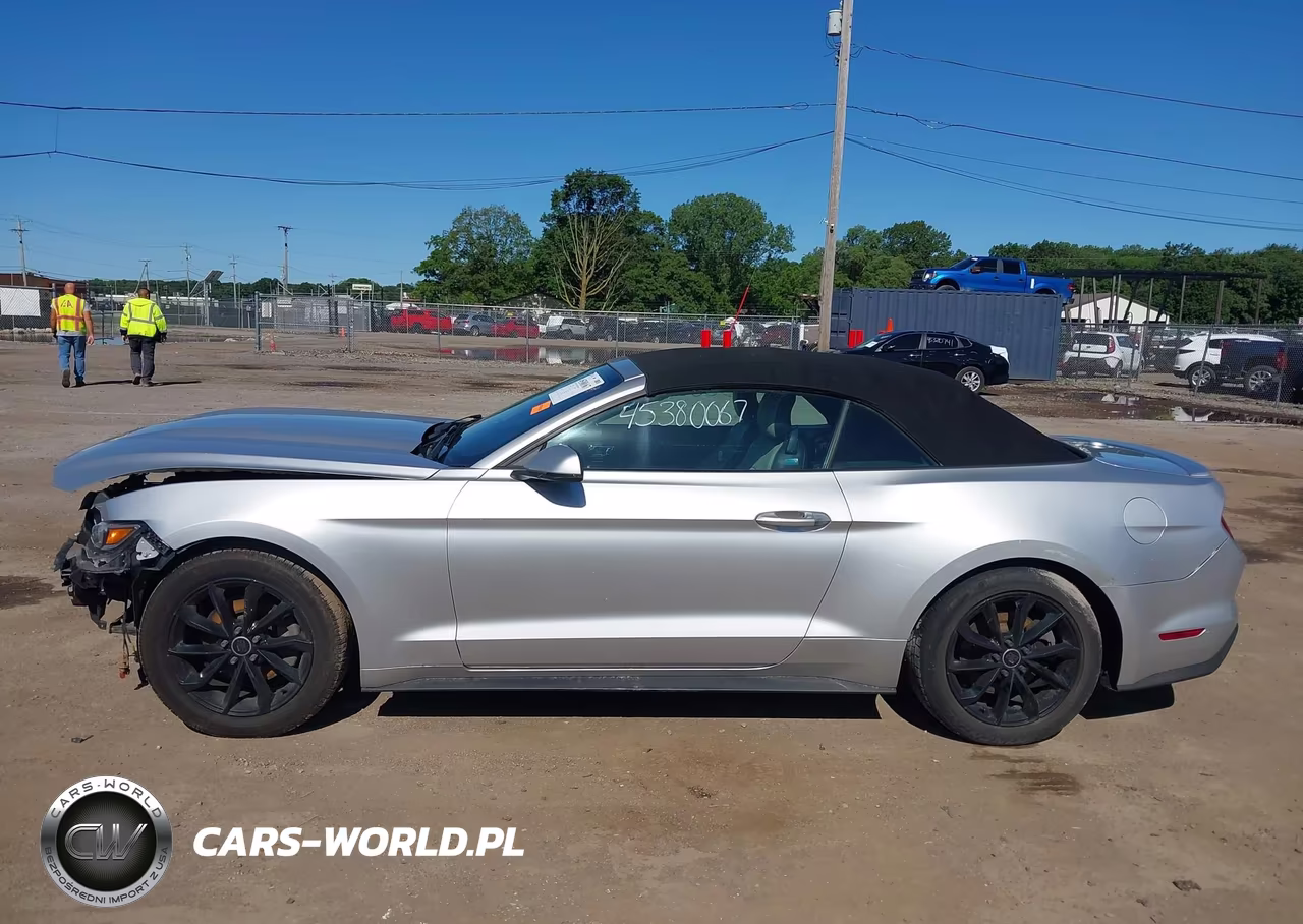 2016 Ford Mustang Ecoboost Premium VIN:1FATP8UH1G5296382 - 15