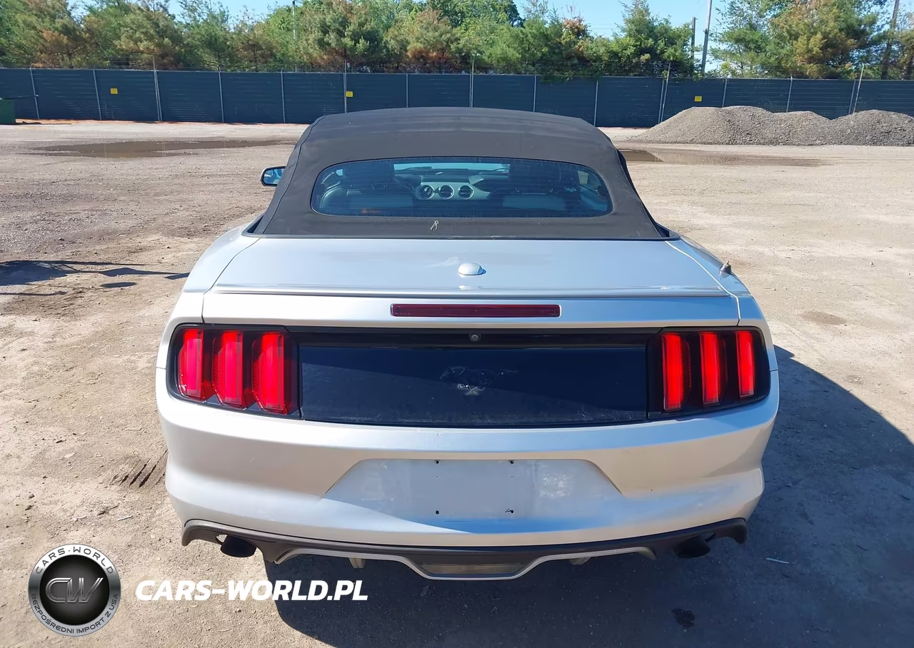 2016 Ford Mustang Ecoboost Premium VIN:1FATP8UH1G5296382 - 17