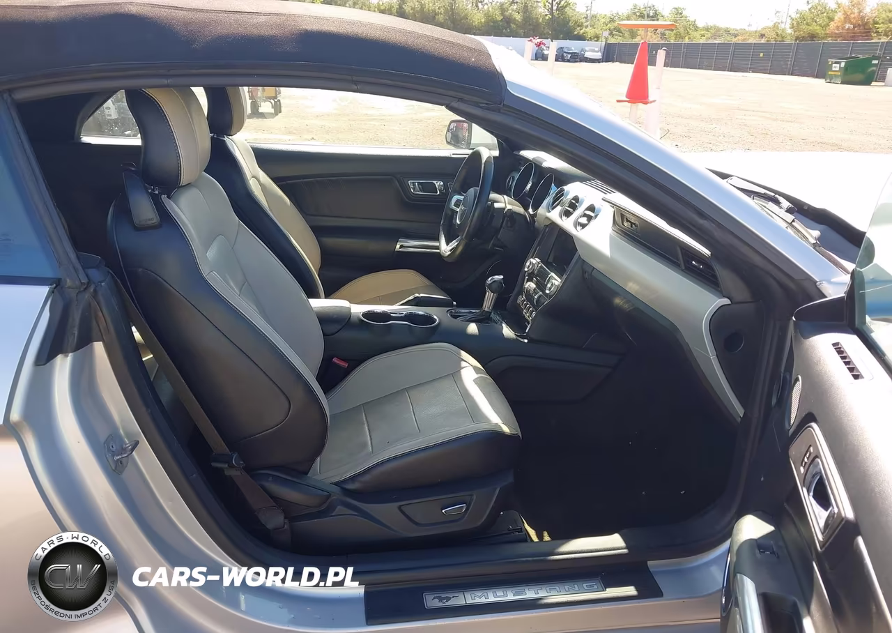 2016 Ford Mustang Ecoboost Premium VIN:1FATP8UH1G5296382 - 5