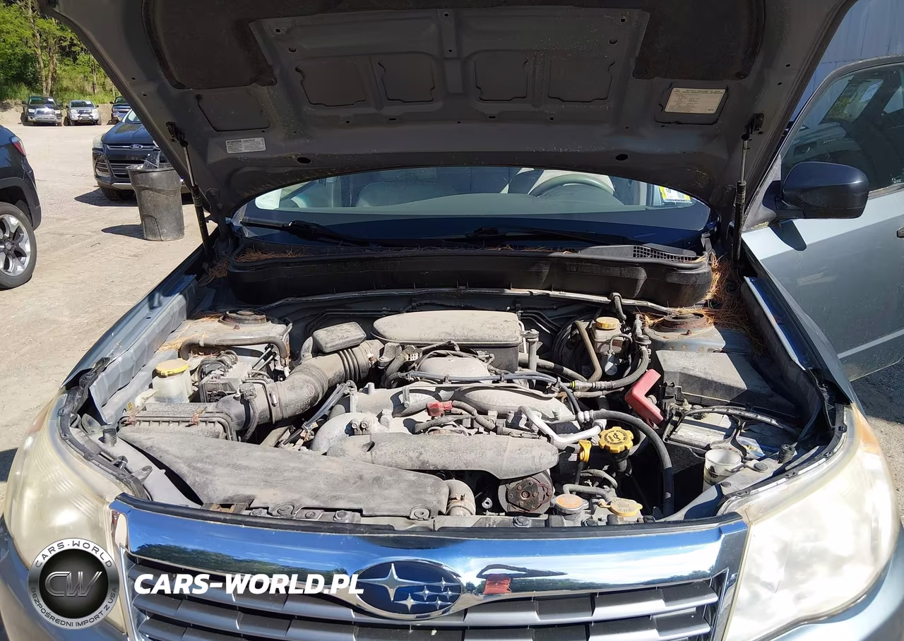 2010 Subaru Forester 2.5X VIN:JF2SH6BC8AH788641 - 10