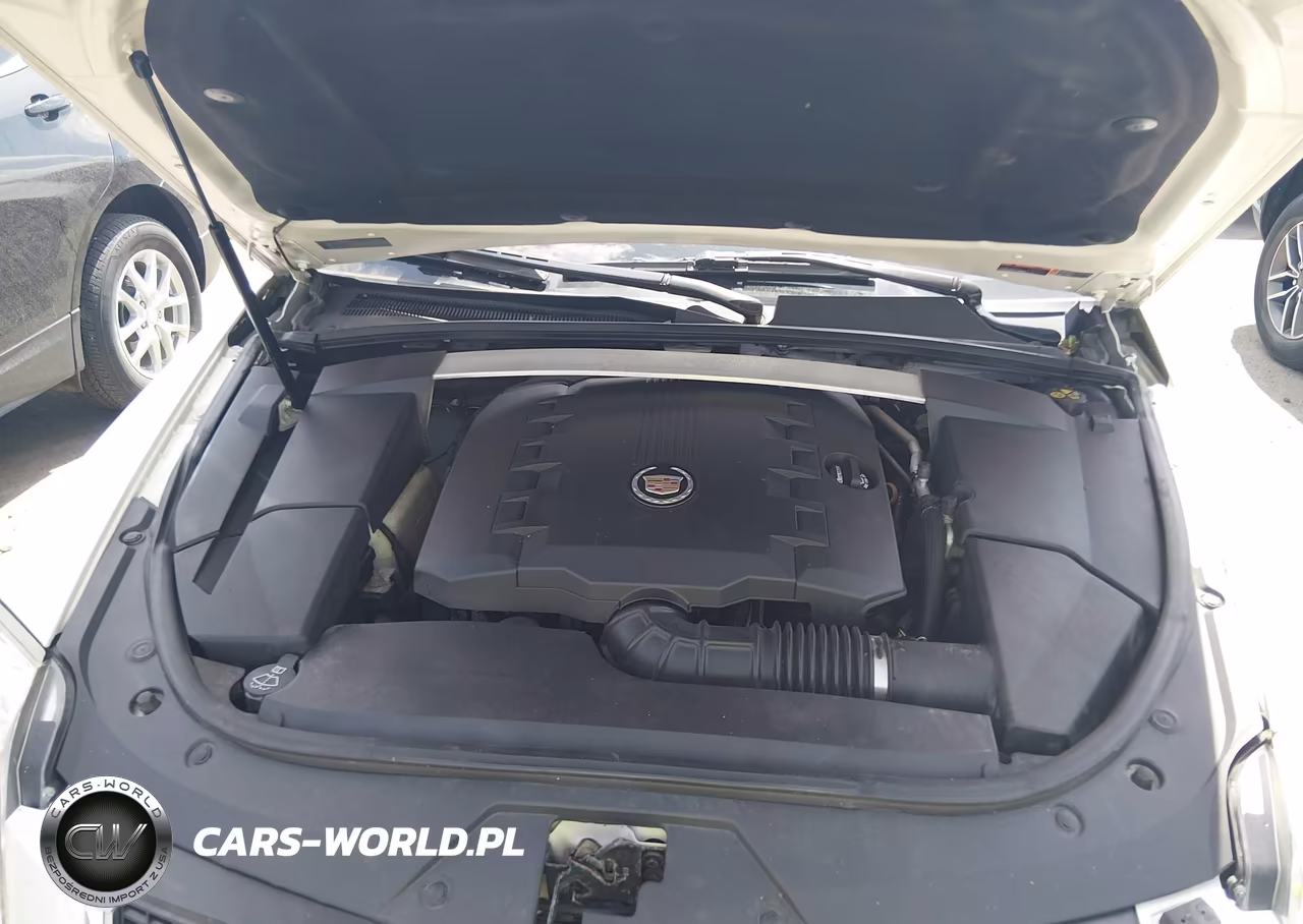 2013 Cadillac Cts Premium VIN:1G6DS1E34D0159276 - 10