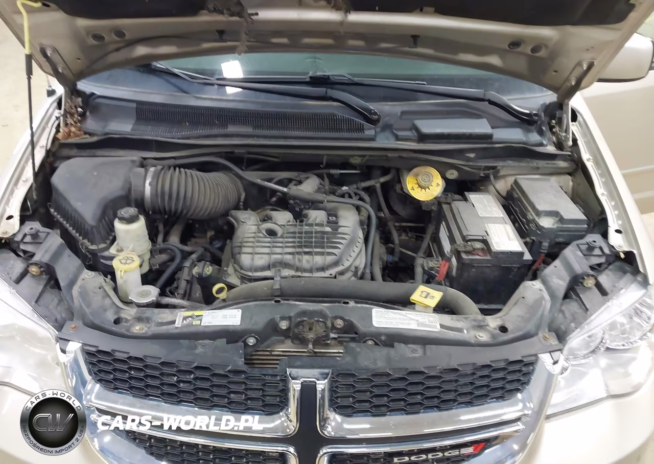 2014 Dodge Grand Caravan Sxt VIN:2C4RDGCG4ER146329 - 10