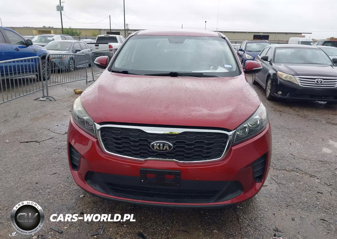 2019 Kia Sorento 2.4L Lx VIN:5XYPGDA33KG557170 - 13
