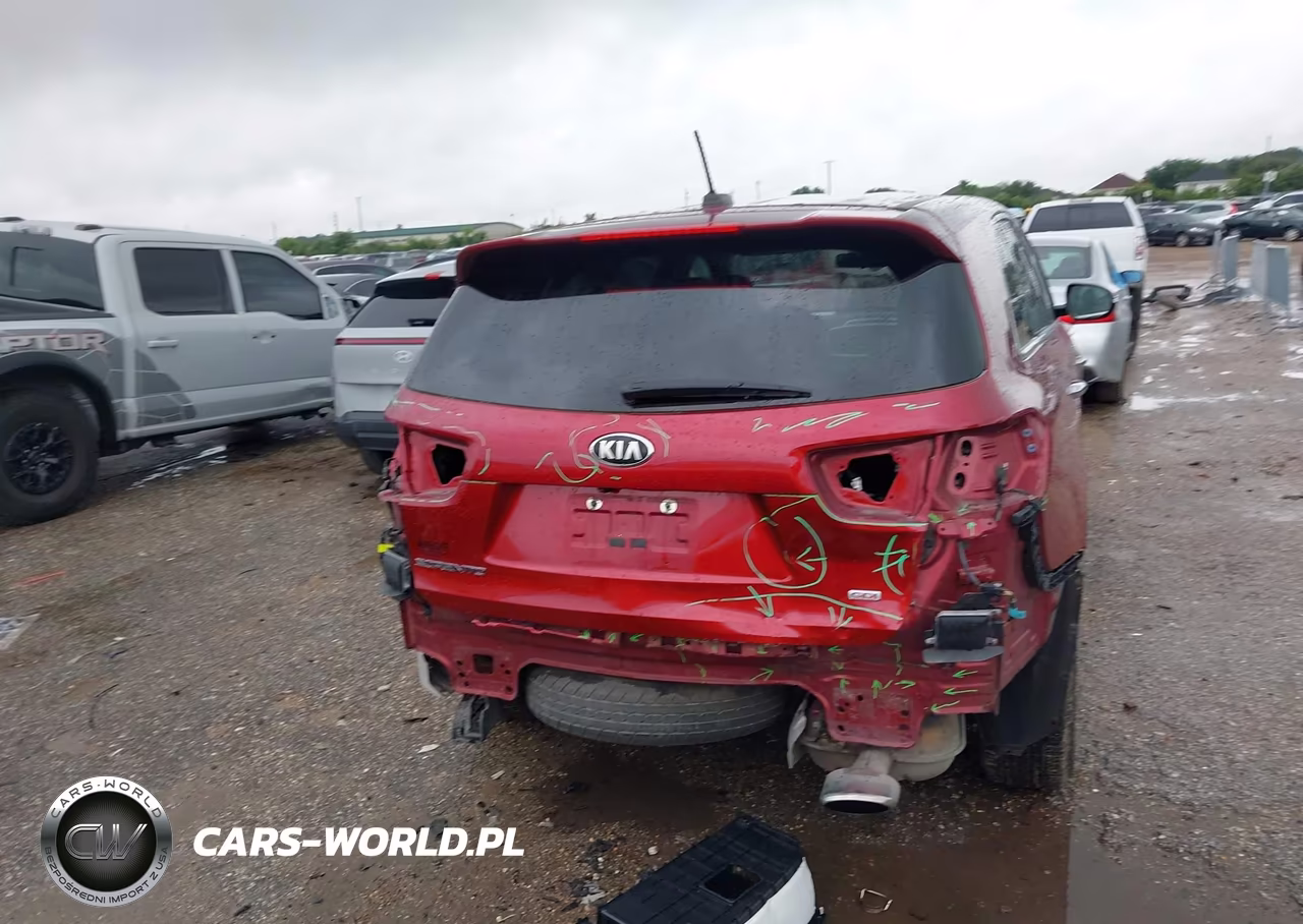 2019 Kia Sorento 2.4L Lx VIN:5XYPGDA33KG557170 - 17