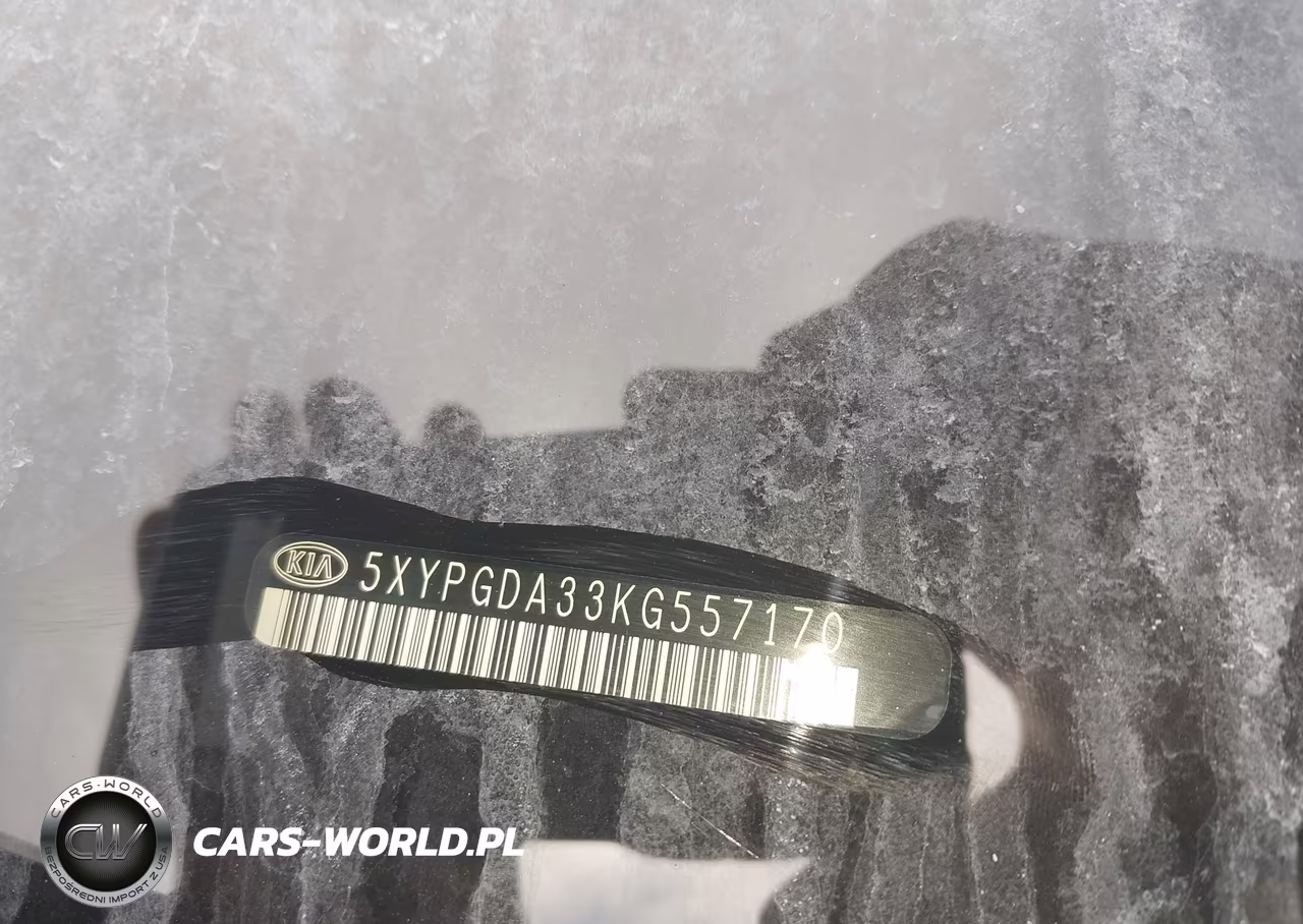 2019 Kia Sorento 2.4L Lx VIN:5XYPGDA33KG557170 - 9