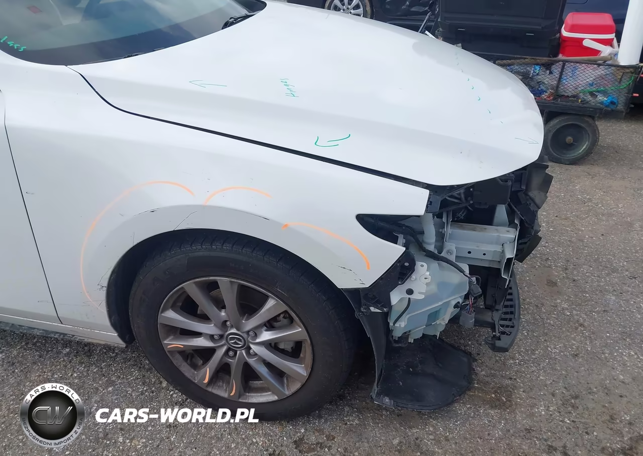2019 Mazda Mazda3 VIN:3MZBPABL5KM114302 - 19