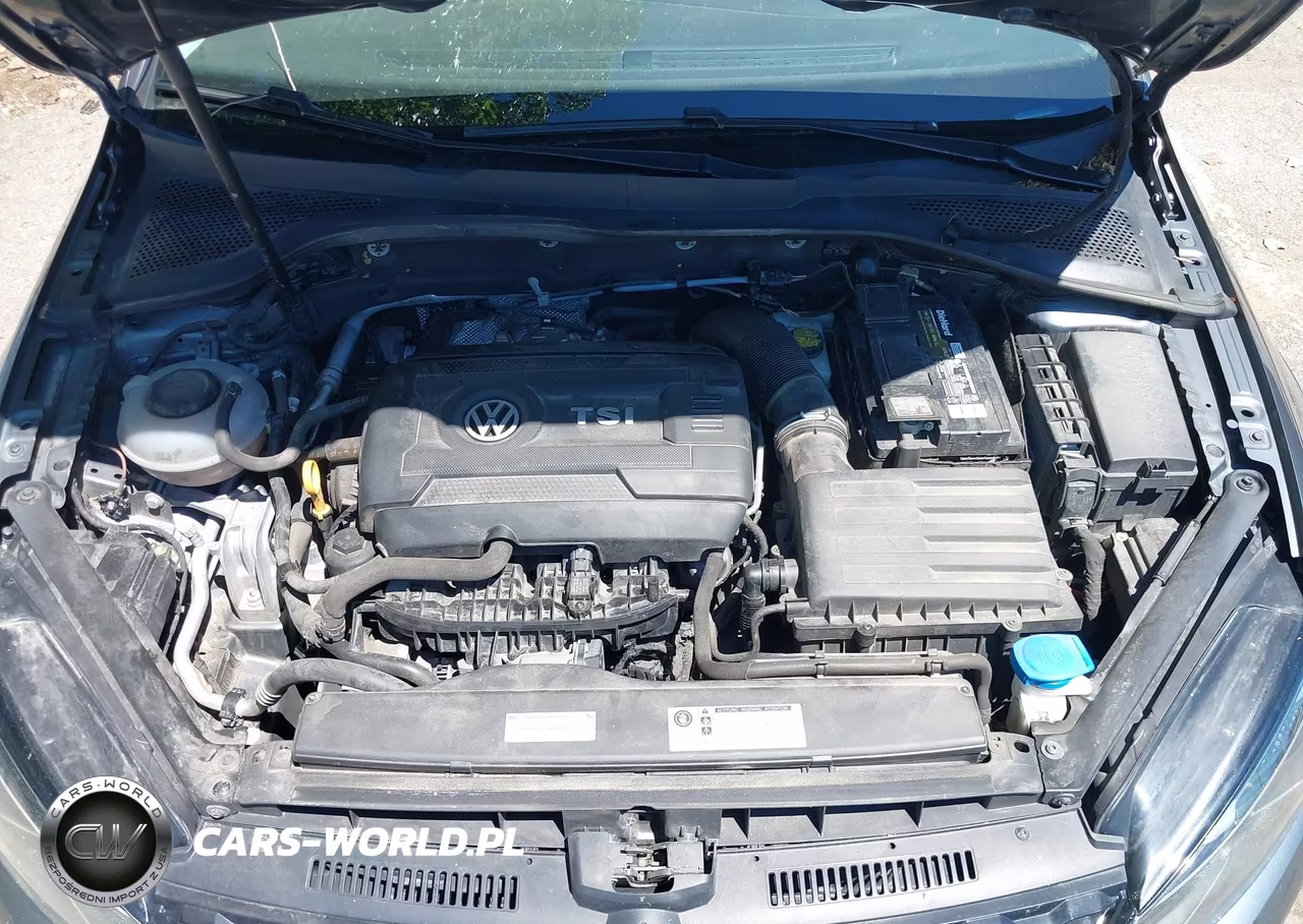 2018 Volkswagen Golf Alltrack Tsi S-Tsi Se-Tsi Sel VIN:3VWH17AU8JM754205 - 10