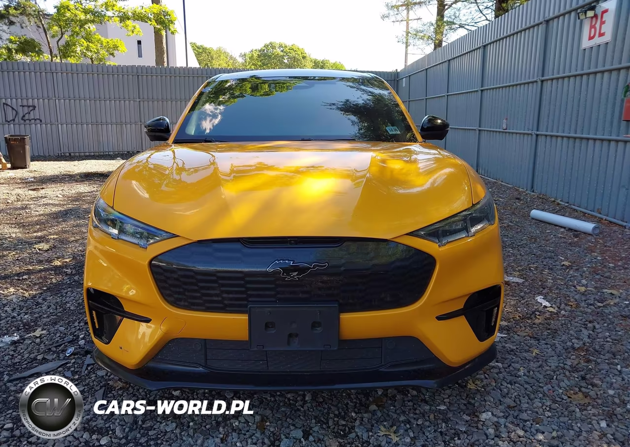 2021 Ford Mustang Mach-E Gt VIN:3FMTK4SX1MME03718 - 12