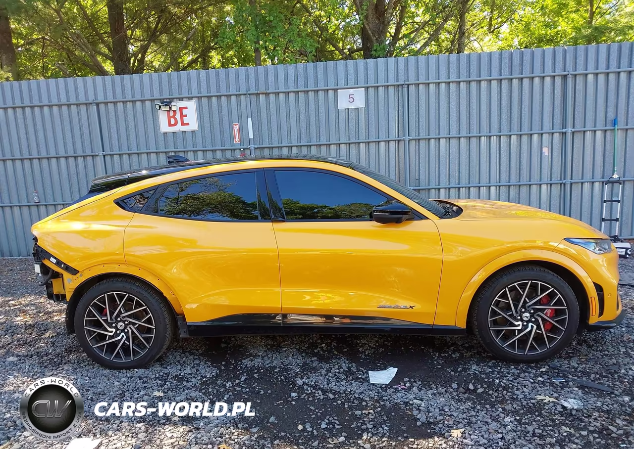 2021 Ford Mustang Mach-E Gt VIN:3FMTK4SX1MME03718 - 13