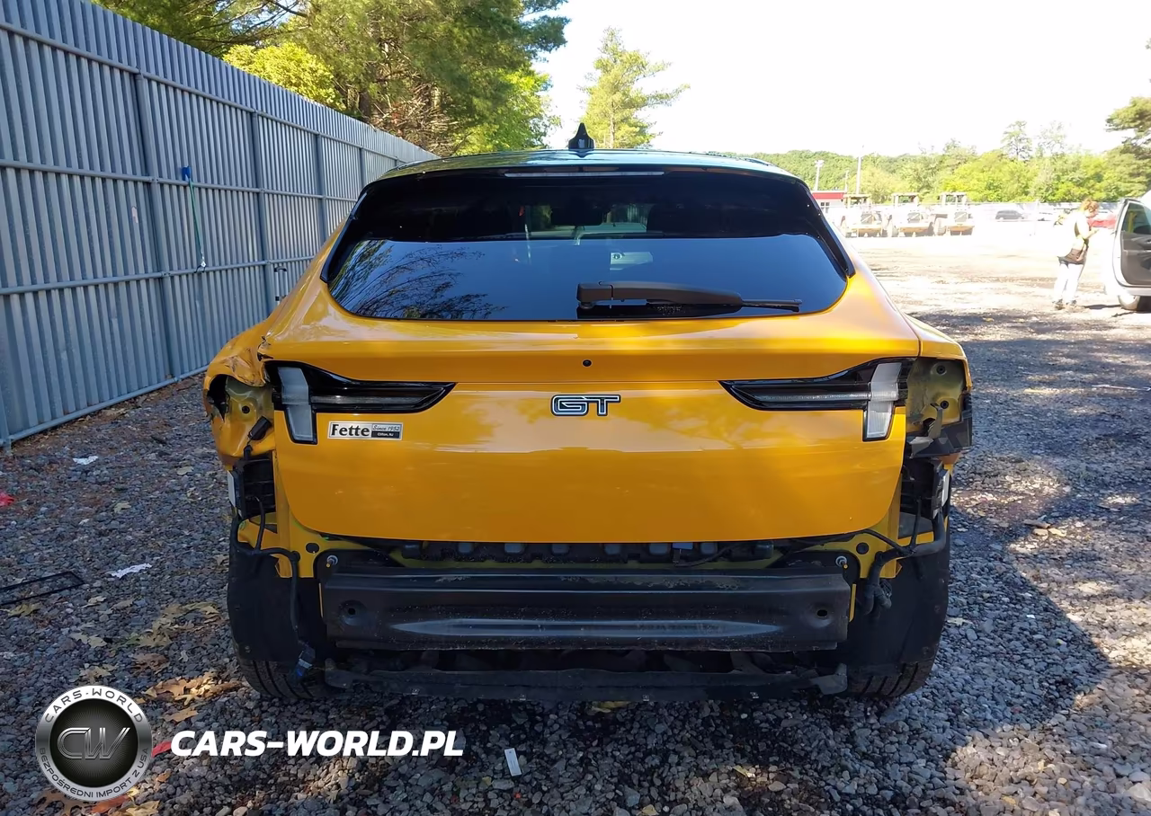 2021 Ford Mustang Mach-E Gt VIN:3FMTK4SX1MME03718 - 16