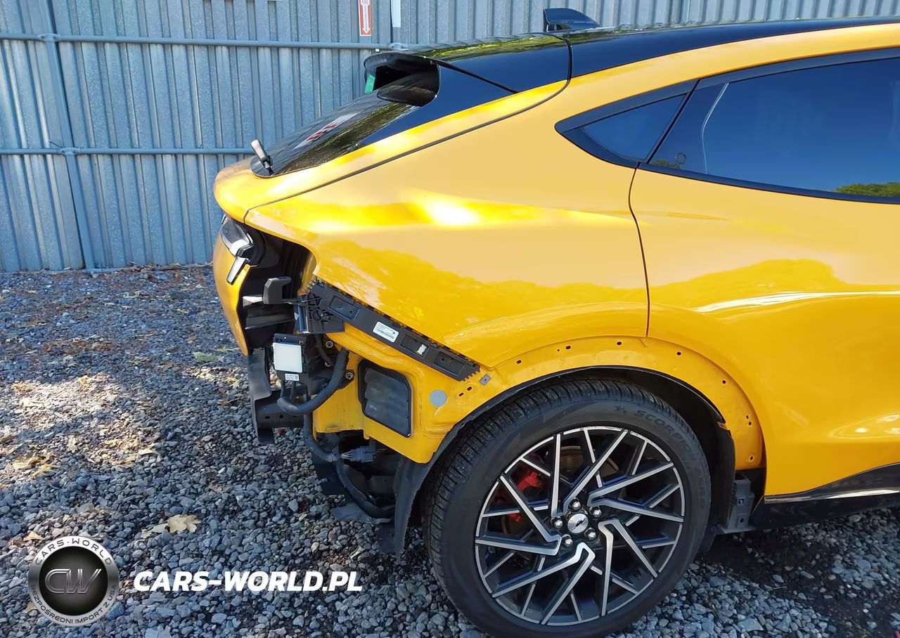 2021 Ford Mustang Mach-E Gt VIN:3FMTK4SX1MME03718 - 19