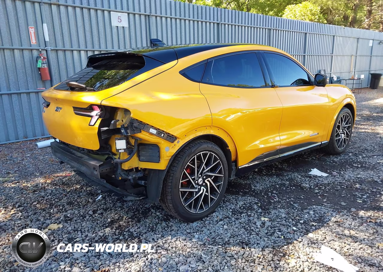 2021 Ford Mustang Mach-E Gt VIN:3FMTK4SX1MME03718 - 4