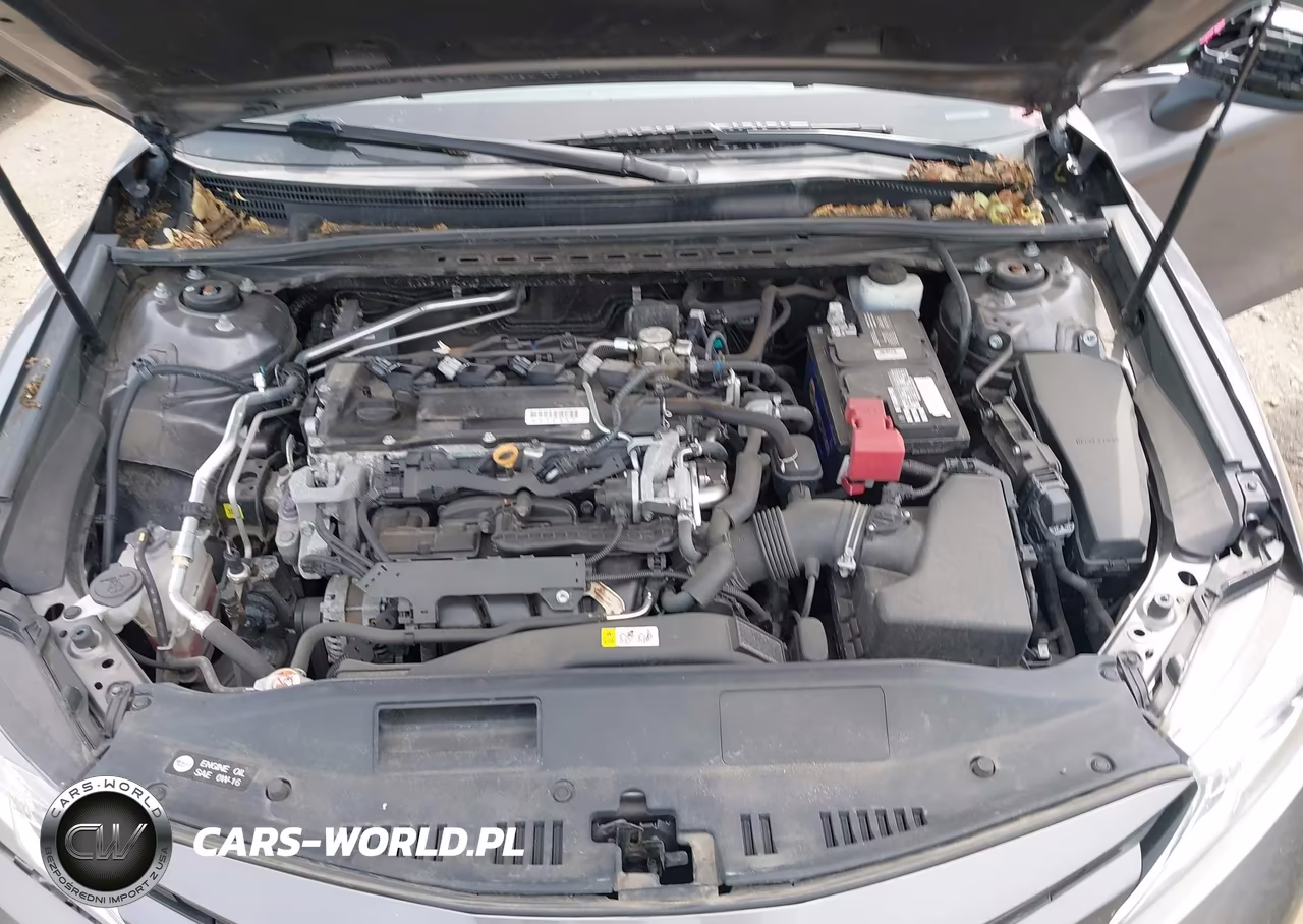 2019 Toyota Camry Le VIN:4T1B11HK9KU756032 - 10