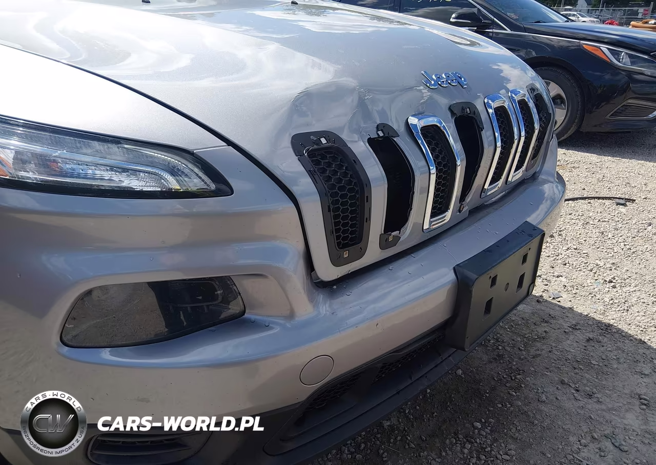 2014 Jeep Cherokee Sport VIN:1C4PJLAB2EW157854 - 17