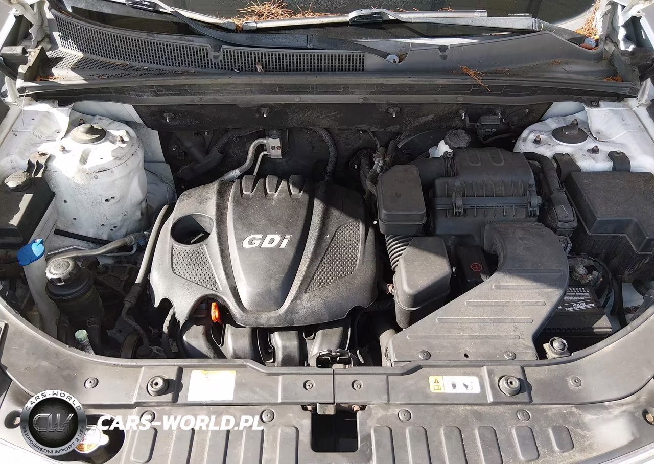 2013 Kia Sorento Lx VIN:5XYKT3A69DG377821 - 10