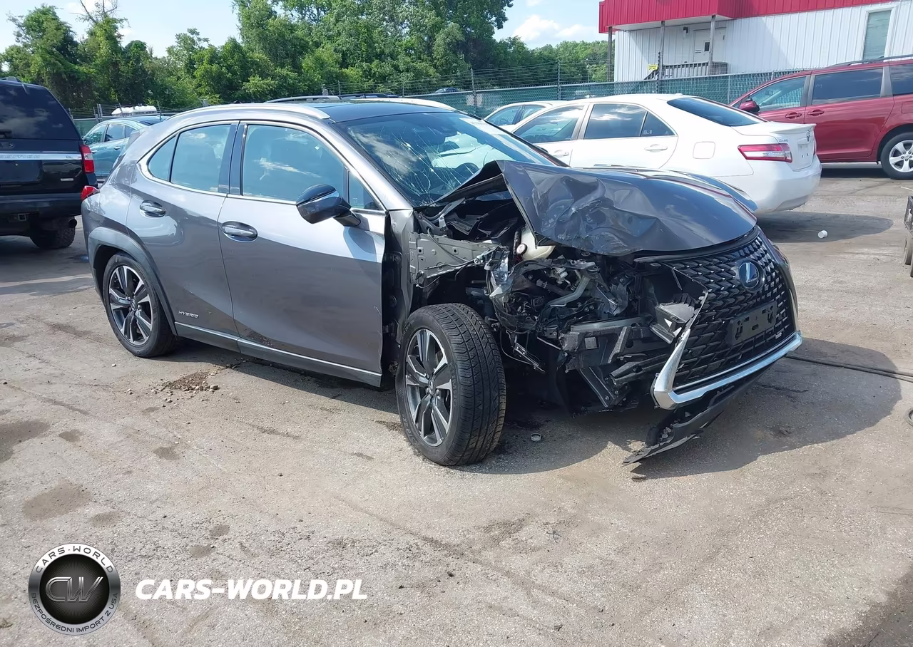 2019 Lexus Ux 250H
