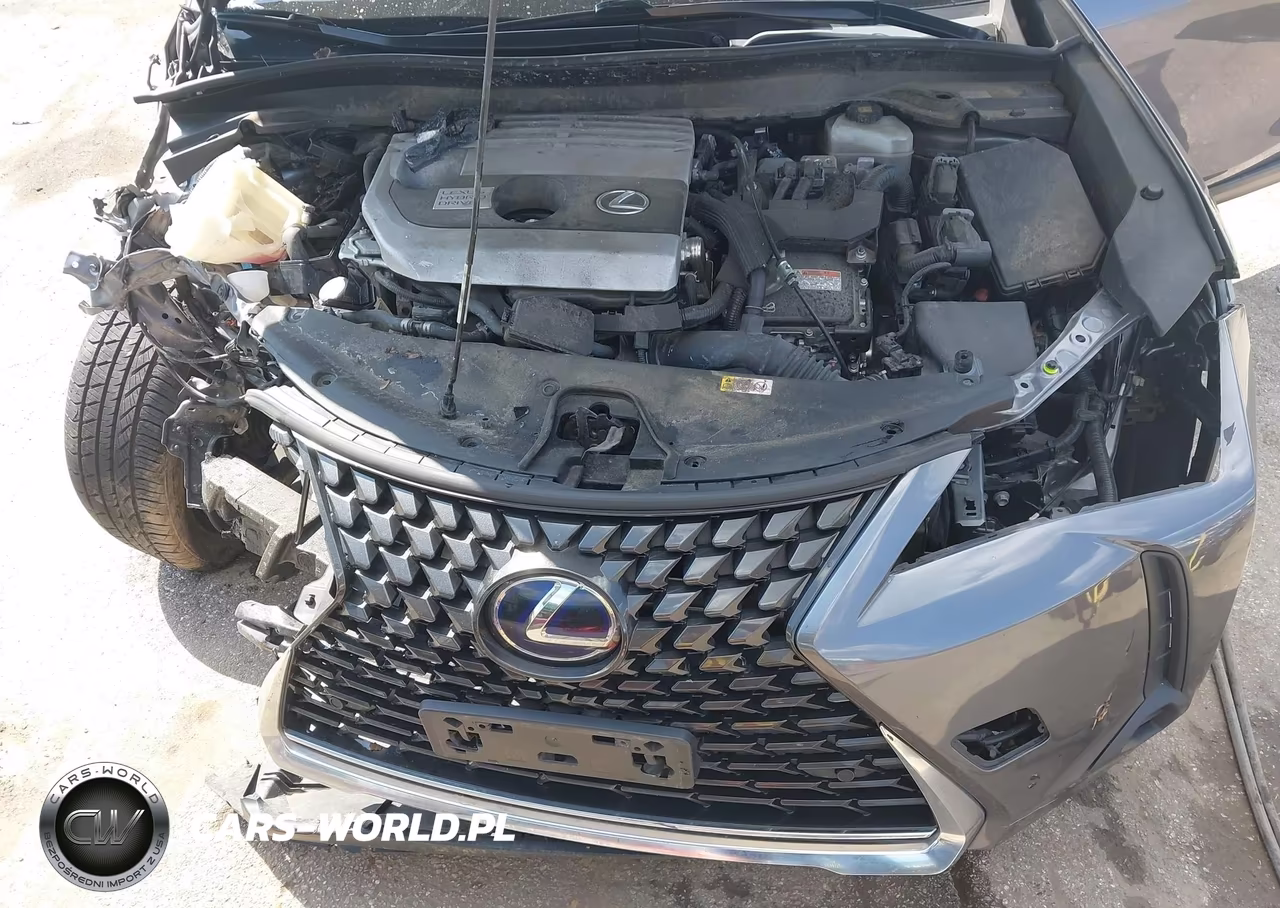 2019 Lexus Ux 250H VIN:JTHU9JBH4K2005286 - 10