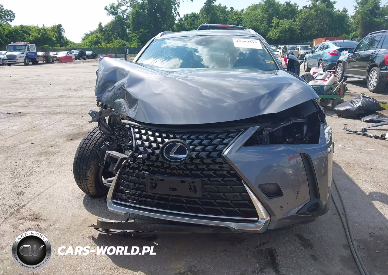 2019 Lexus Ux 250H VIN:JTHU9JBH4K2005286 - 13