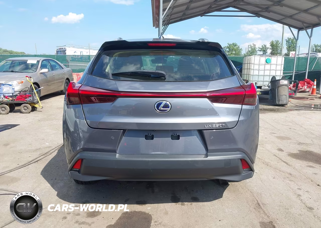 2019 Lexus Ux 250H VIN:JTHU9JBH4K2005286 - 17