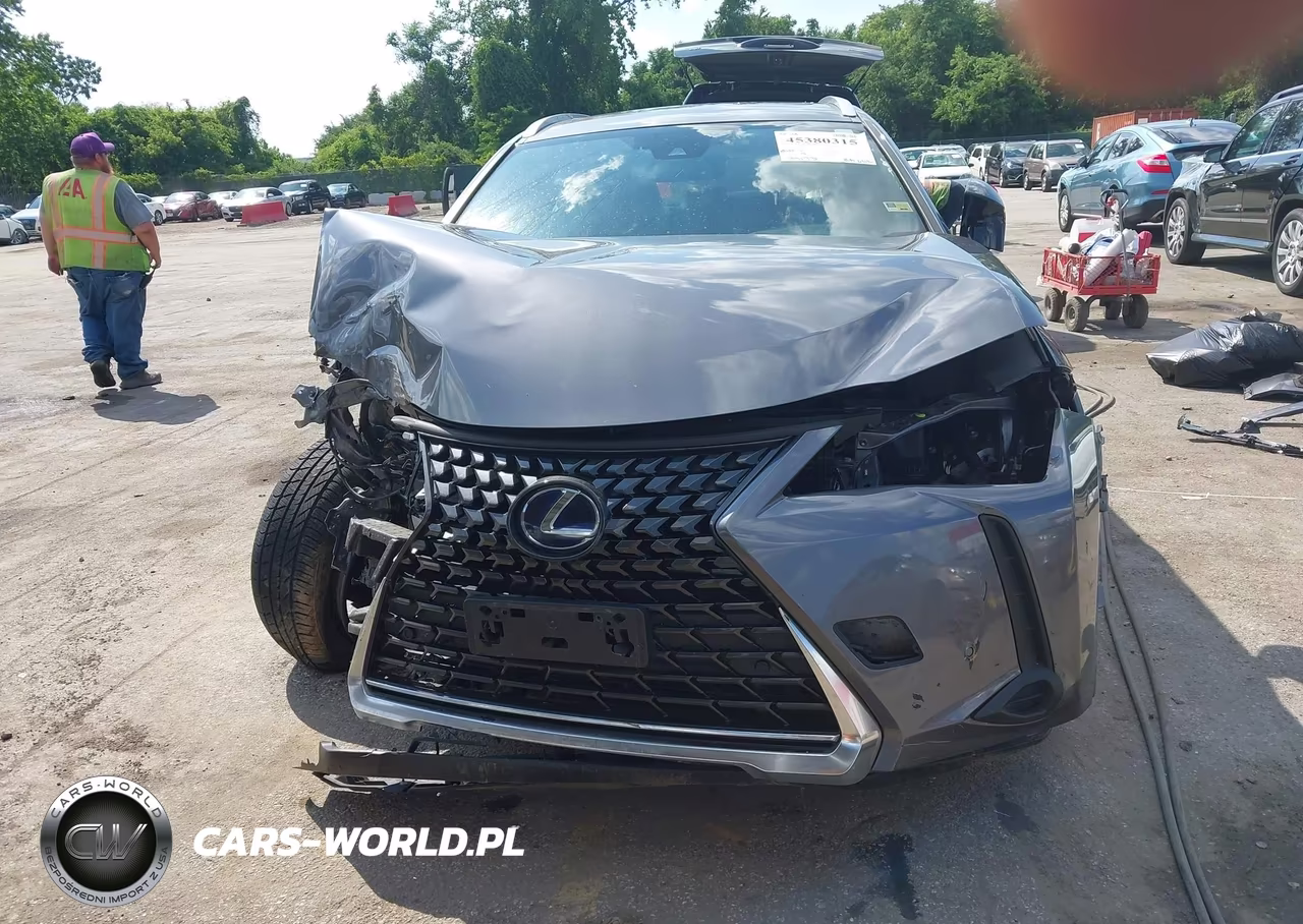 2019 Lexus Ux 250H VIN:JTHU9JBH4K2005286 - 6