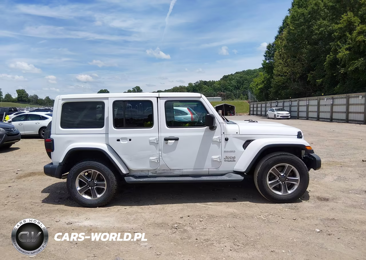 2019 Jeep Wrangler Unlimited Sahara 4X4 VIN:1C4HJXEG8KW501782 - 13