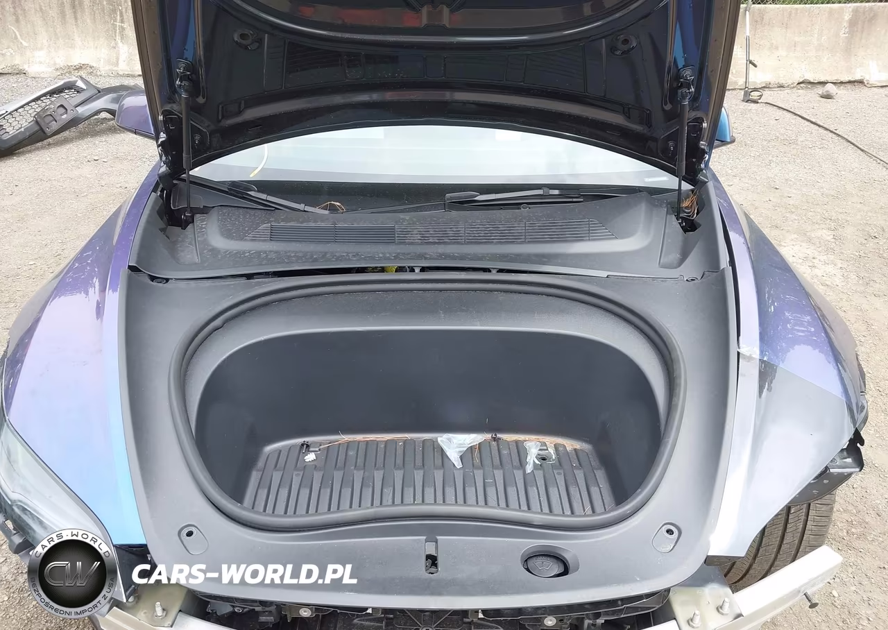 2025 Tesla Model 3 Performance All-Wheel Drive VIN:5YJ3E1ET6SF065902 - 10
