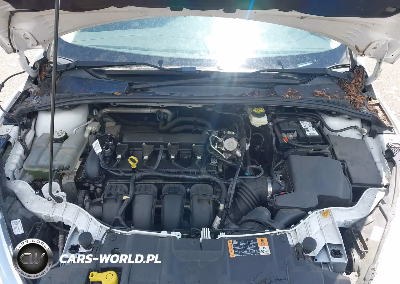 2017 Ford Focus Se VIN:1FADP3K25HL267387 - 10