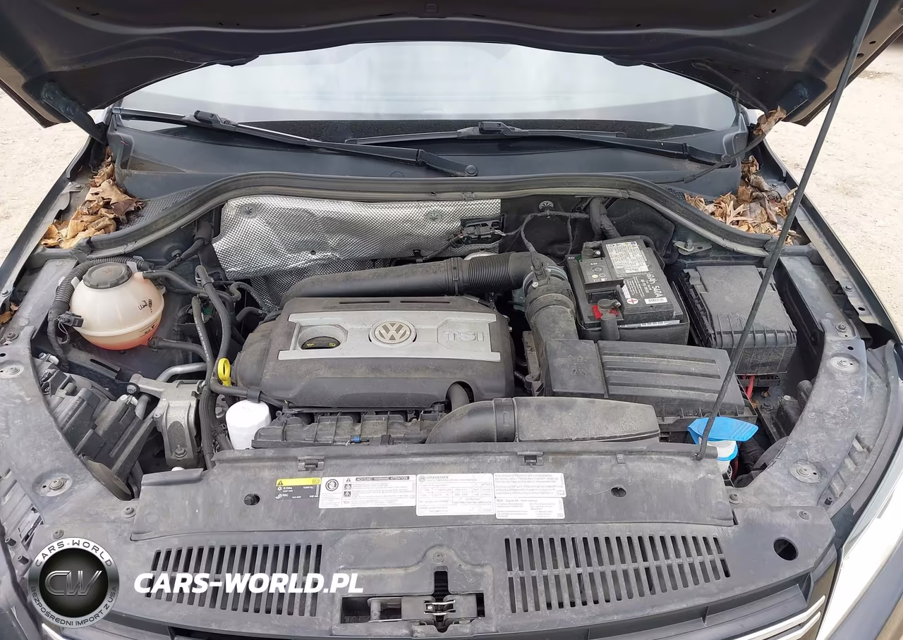 2017 Volkswagen Tiguan 2.0T-2.0T S VIN:WVGBV7AX3HK052782 - 10