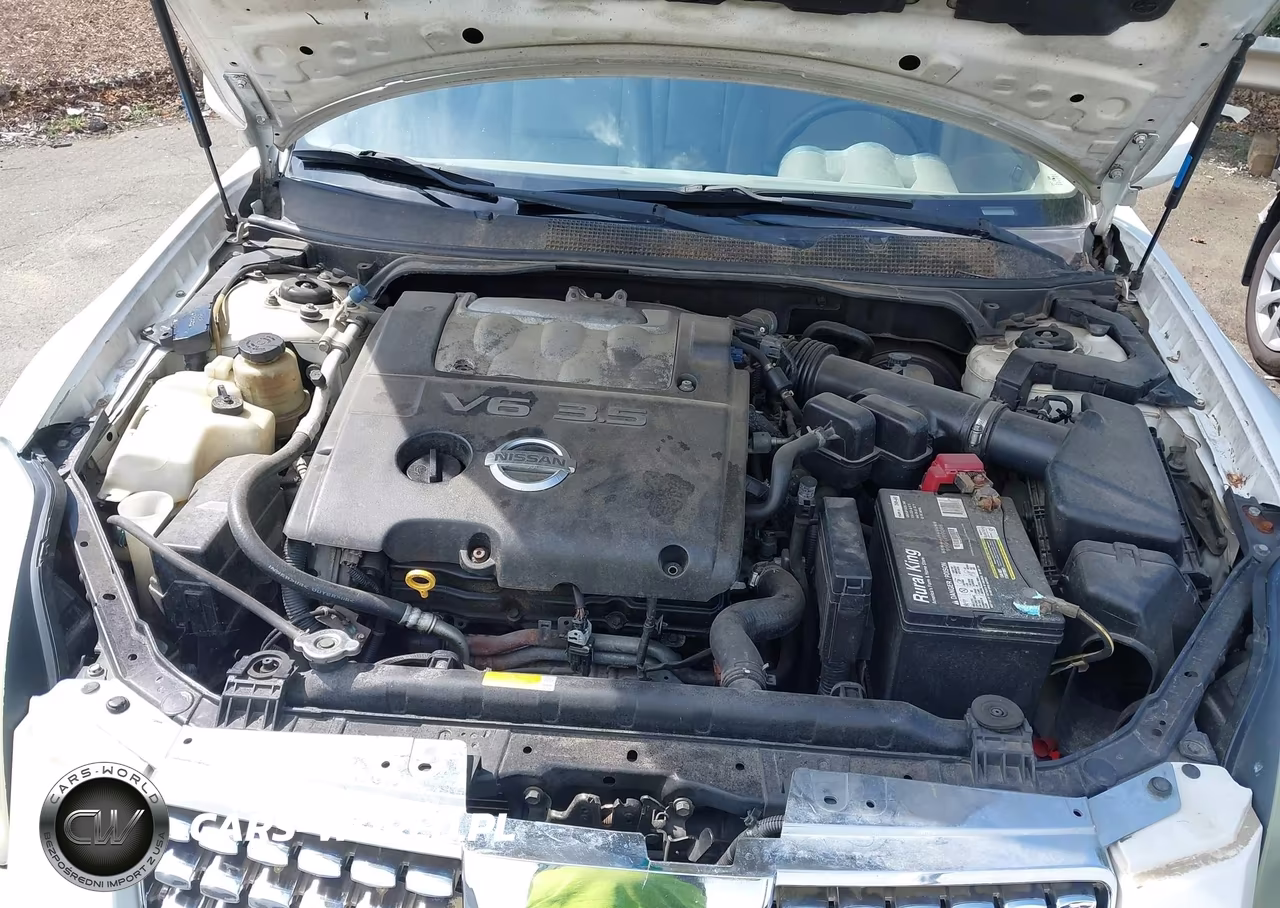 2004 Nissan Maxima 3.5 Se VIN:1N4BA41EX4C866290 - 10