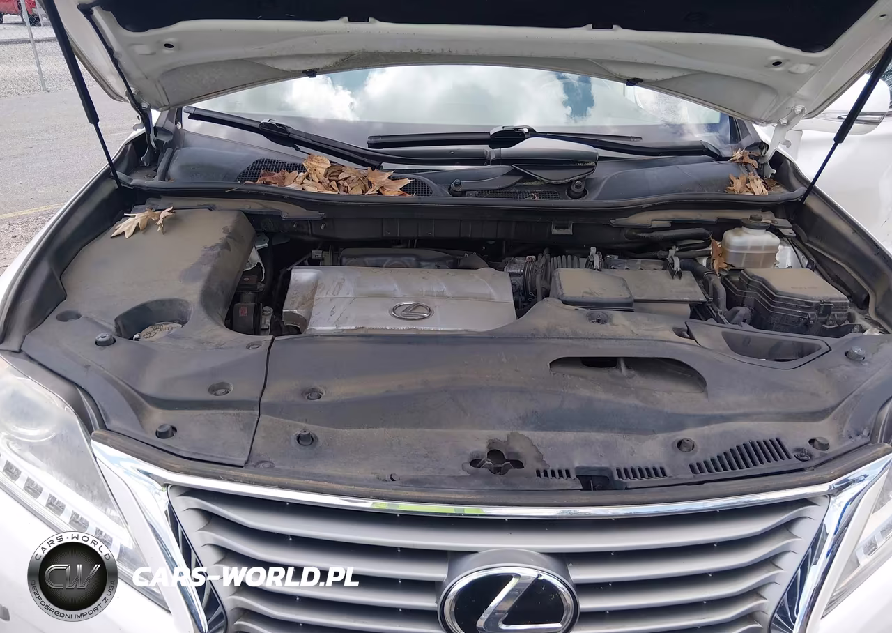 2013 Lexus Rx 350 VIN:JTJBK1BA6D2034451 - 10