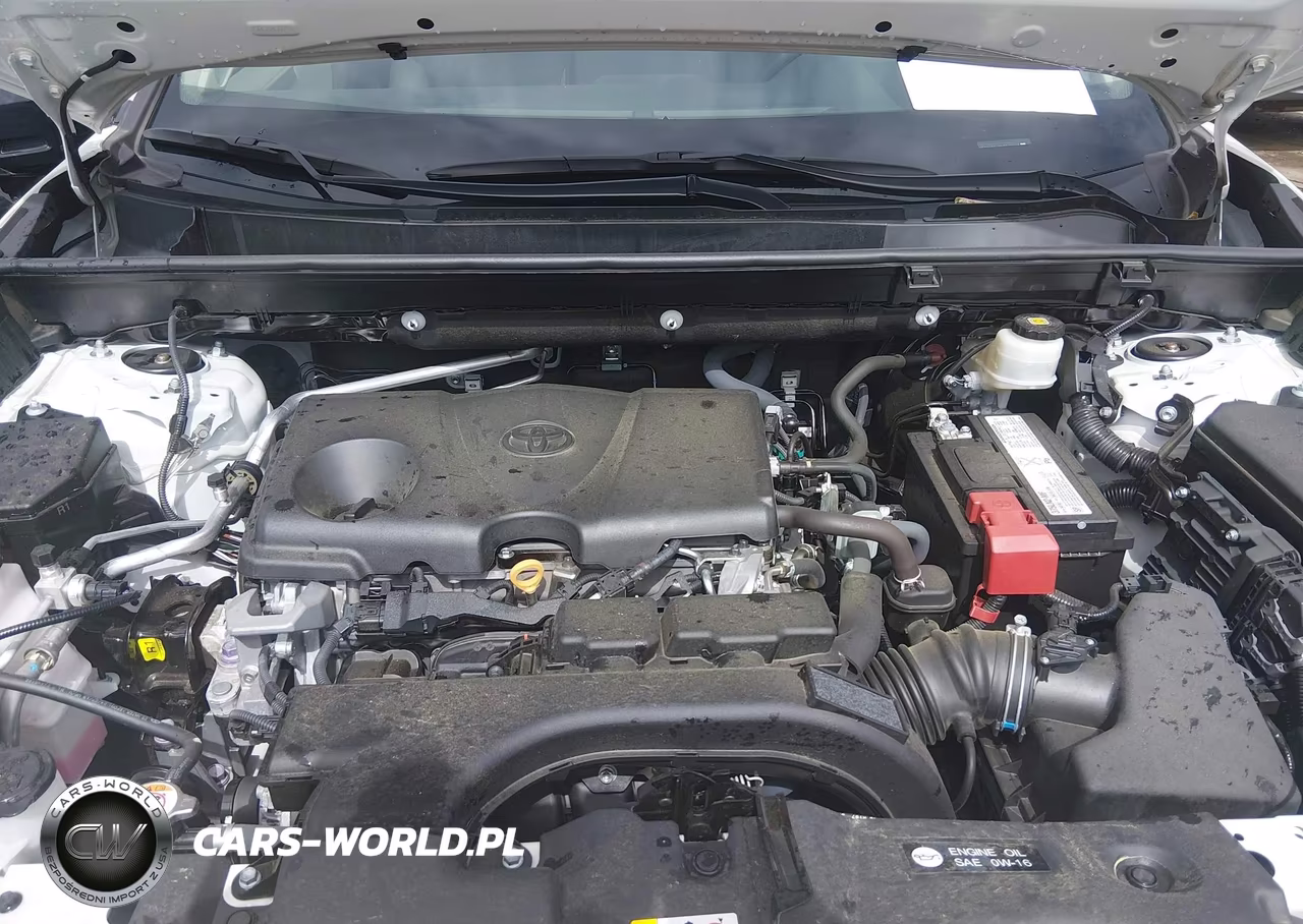 2019 Toyota Rav4 Limited VIN:2T3N1RFV0KC013602 - 10
