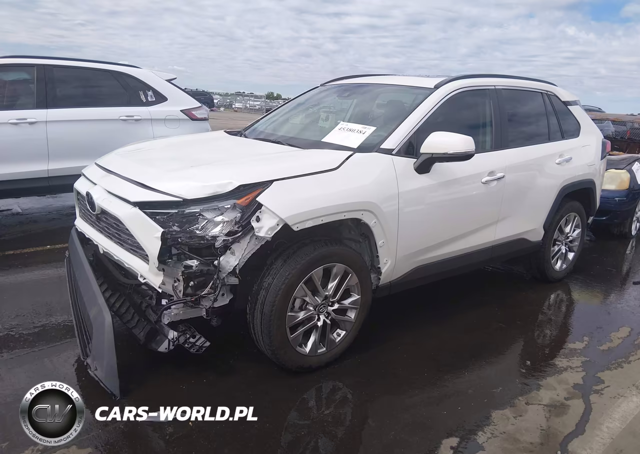 2019 Toyota Rav4 Limited VIN:2T3N1RFV0KC013602 - 2