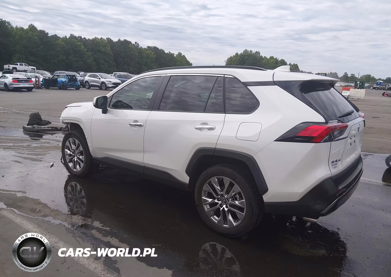 2019 Toyota Rav4 Limited VIN:2T3N1RFV0KC013602 - 3