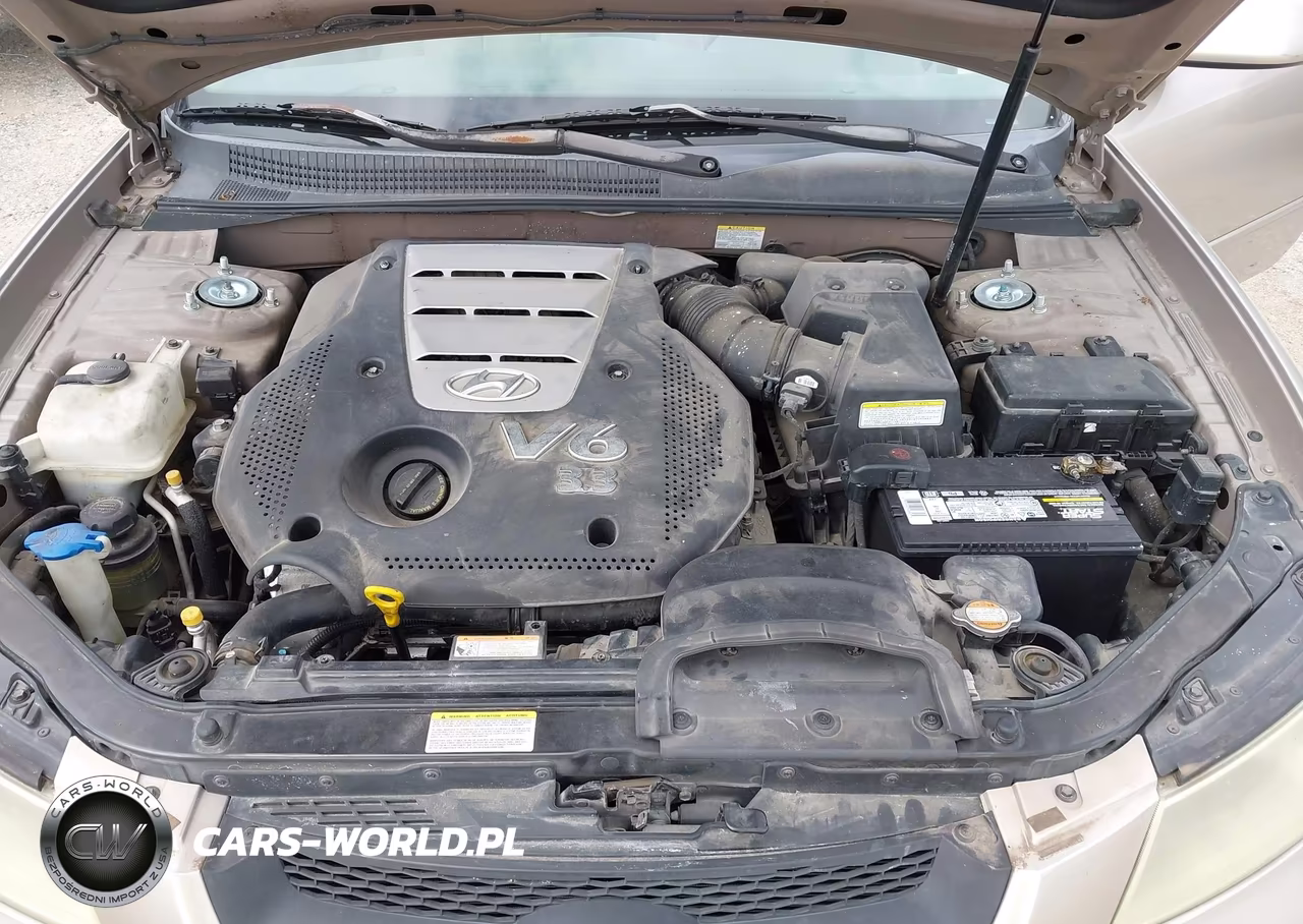 2006 Hyundai Sonata Gls V6-Lx V6 VIN:5NPEU46F46H069184 - 10
