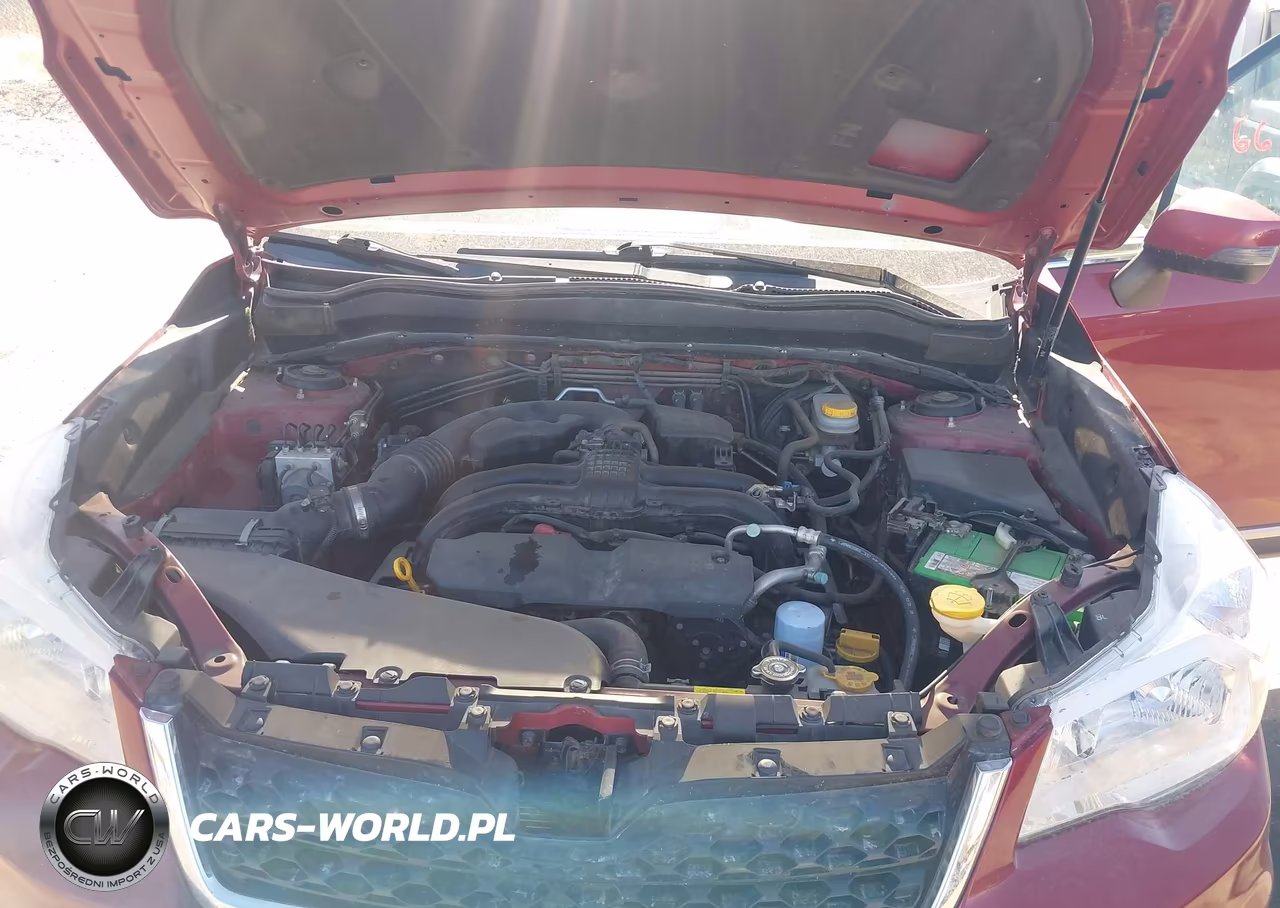 2016 Subaru Forester 2.5I Touring VIN:JF2SJAVC0GH496395 - 10